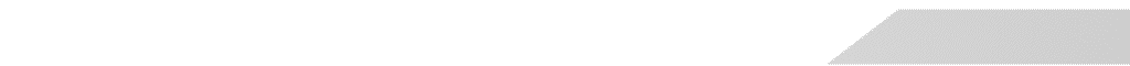 Bid Partition